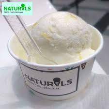 Naturals Tender Coconut Ice Cream