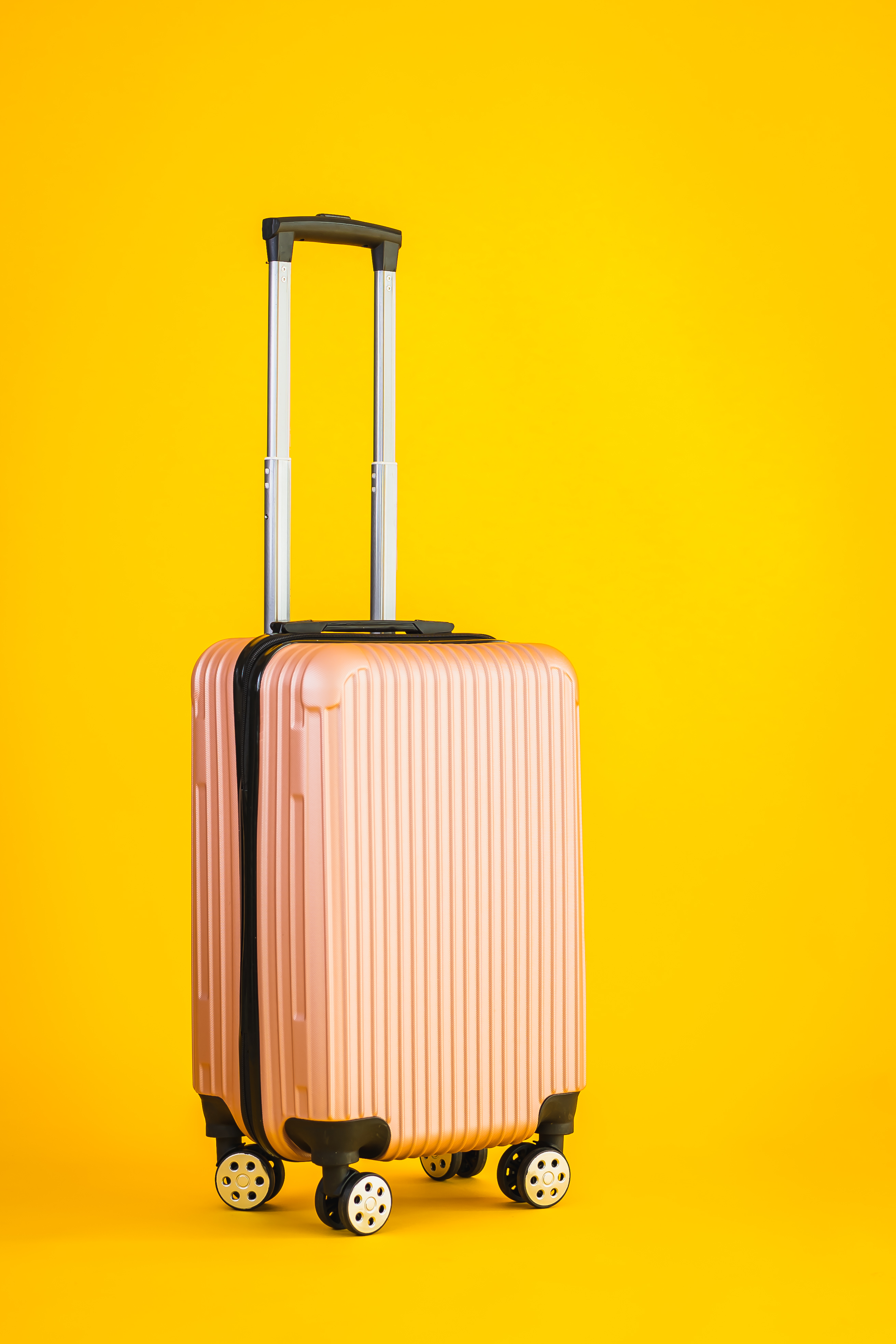 Aerostep Premium Luggage