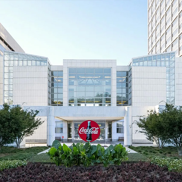 Coca-Cola Bottle - Exclusive 50% Off Offer