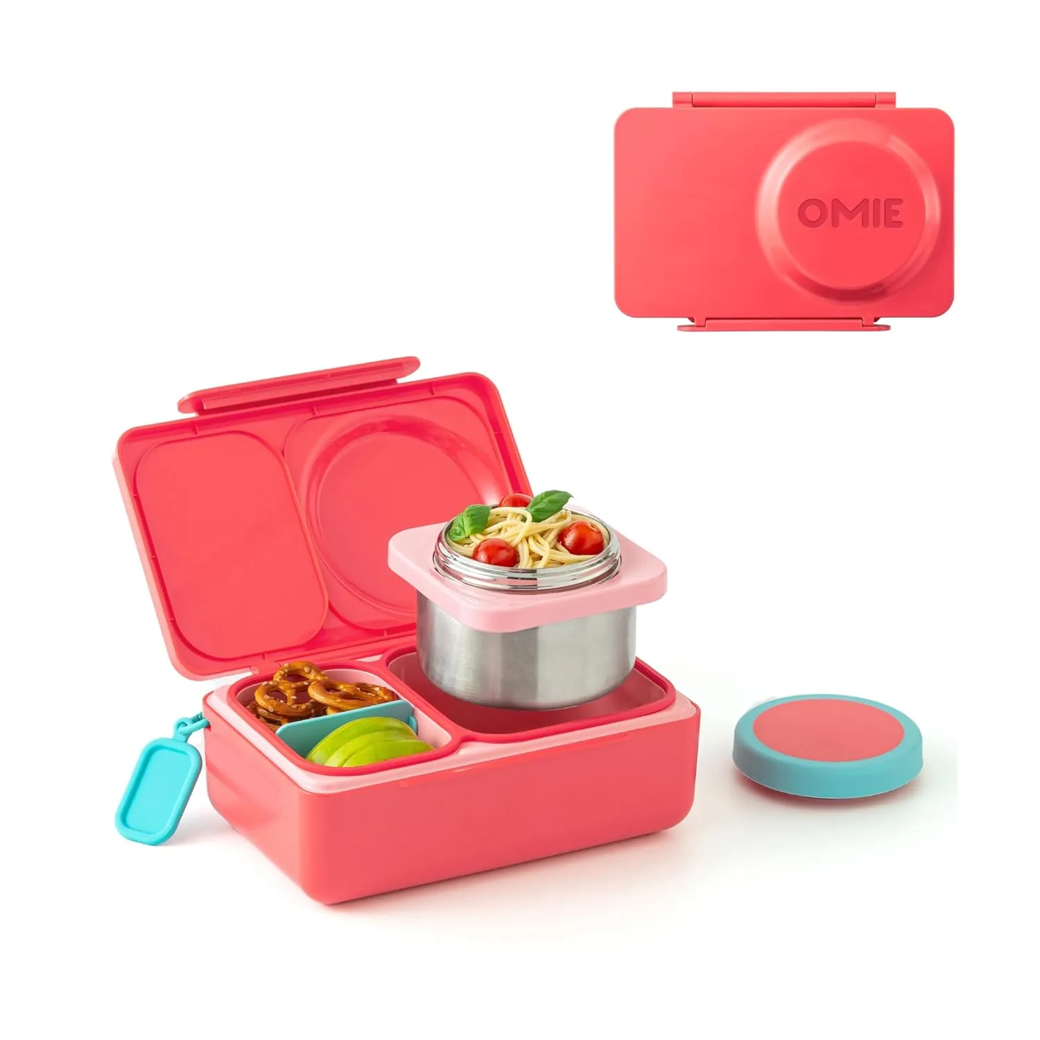 Bento Box packed with colorful, appetizing meal components
